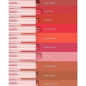Blush Cremoso Stick Dreamy Cheeks Soft Pink Ruby Rose
